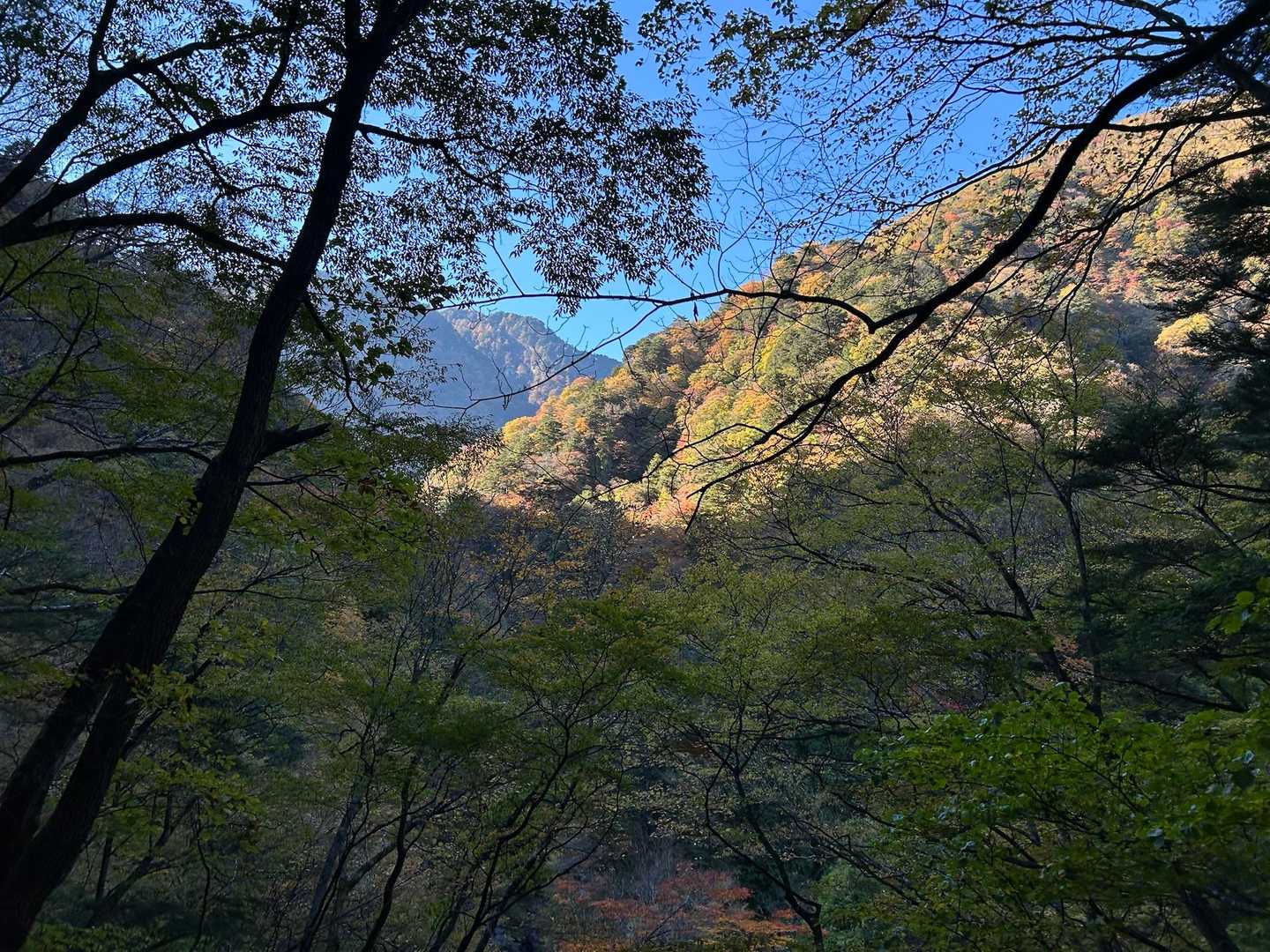 紅葉が映える時間