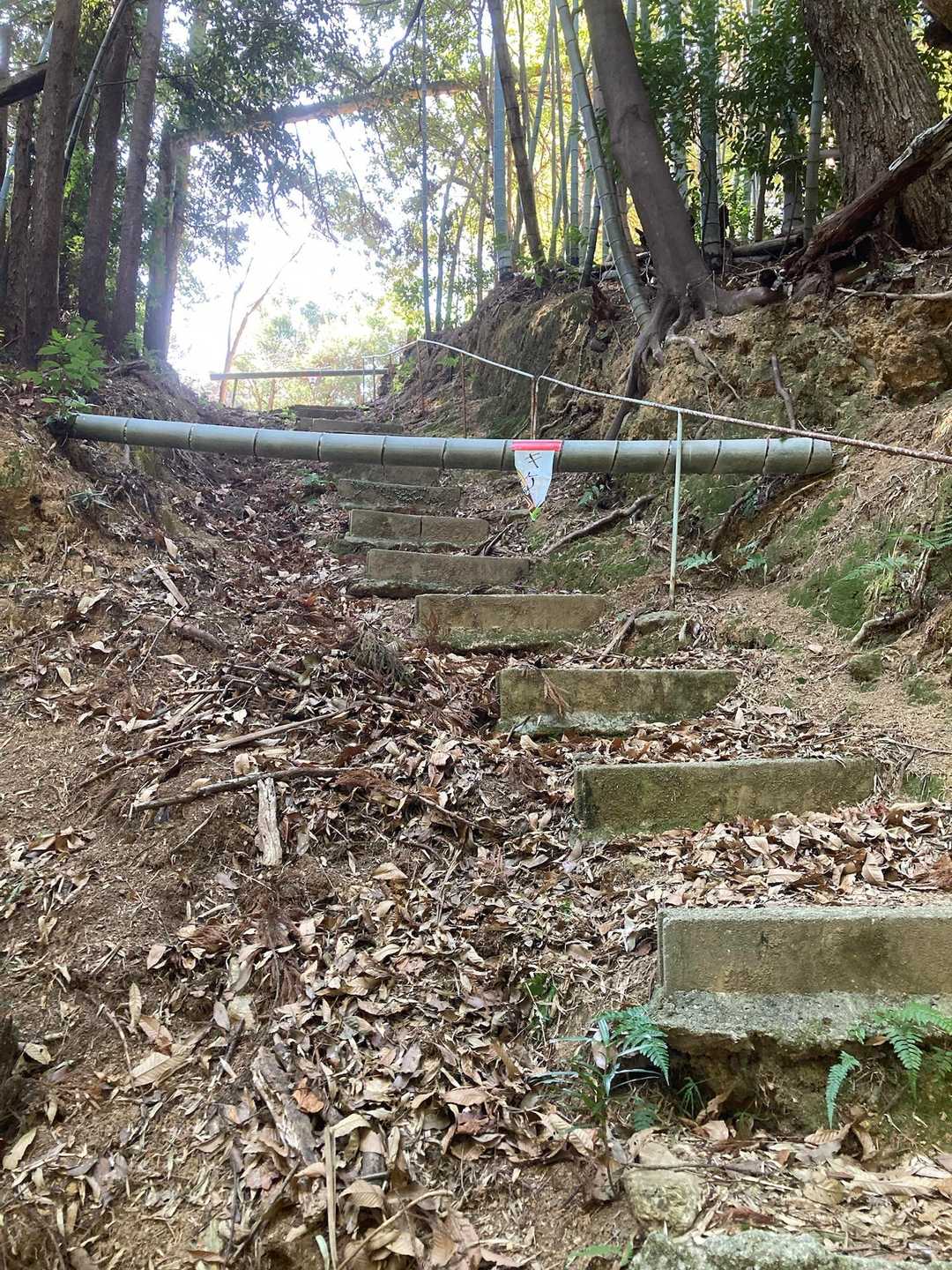 この階段は危険⚠️らしいので、左←の巻道へ行って神社過ぎたら、