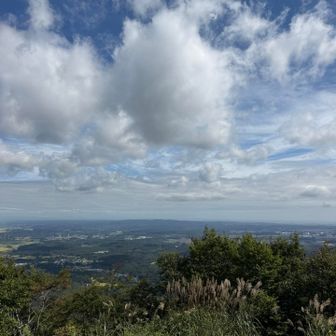 見晴し台からの景色