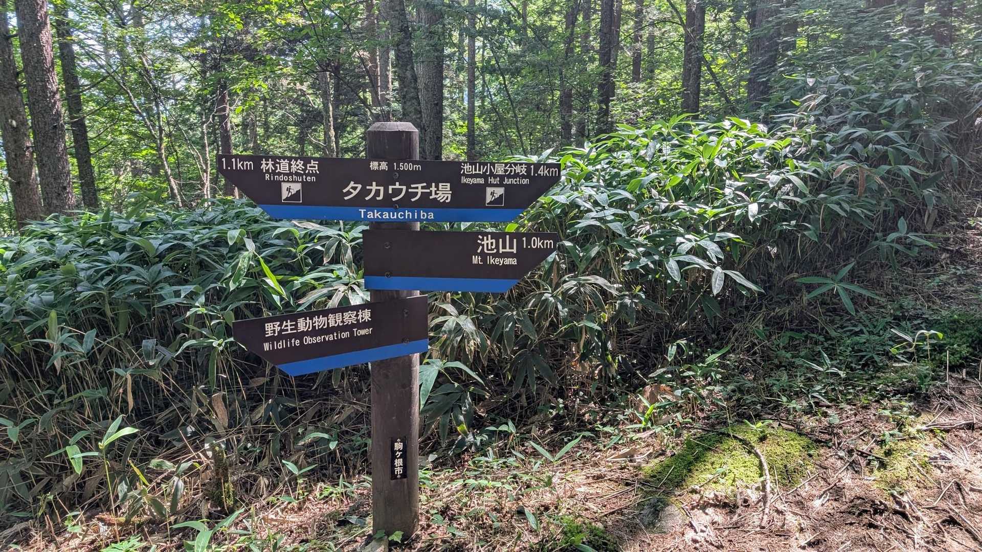迷わないように