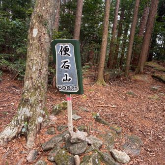 山頂直下も長い階段💦
撮る事を忘れるくらいの激しい階段地獄😭
で、山頂は地味過ぎて素通りしそうになりました🤣
