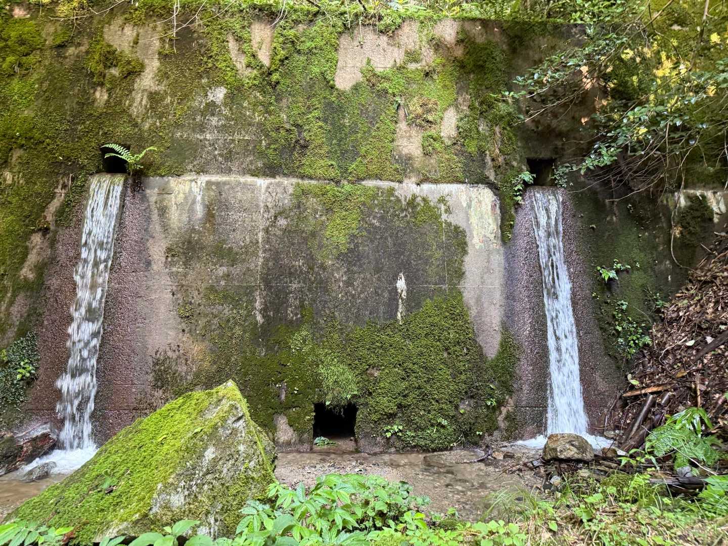 櫃ヶ山 往復コースの写真