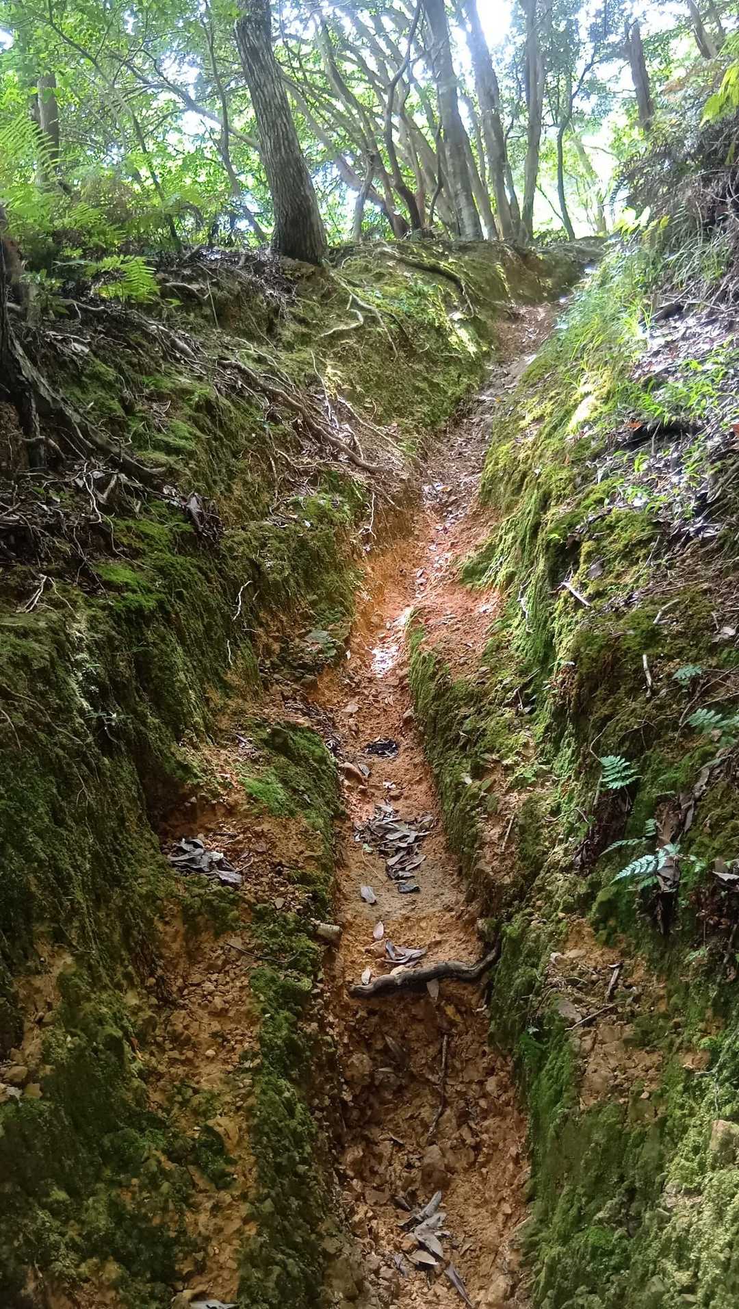 平均台の様な道…