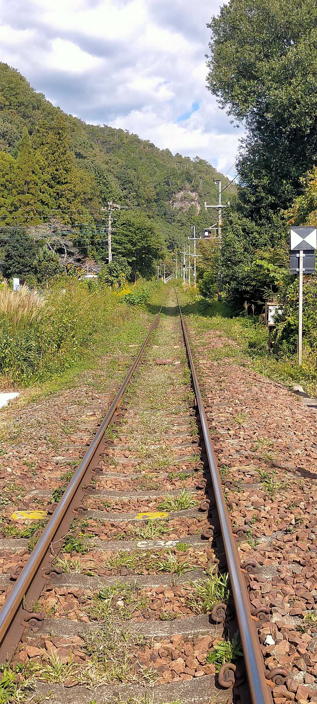 遠見山の側を通るJR高山線