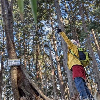 両崖山・仙人ヶ岳・石尊山 やったー
ヤッほー
最奥の寺久保山だぁ
けっこう遠かったな
(🧐あれ？たかちゃん  馬坂山で凹んでたのにちょーしいいねぇ)