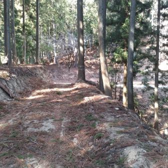 広い作業道を通りピークを巻いたら鐘撞峠に戻ります。ちょっとした寄り道でした。