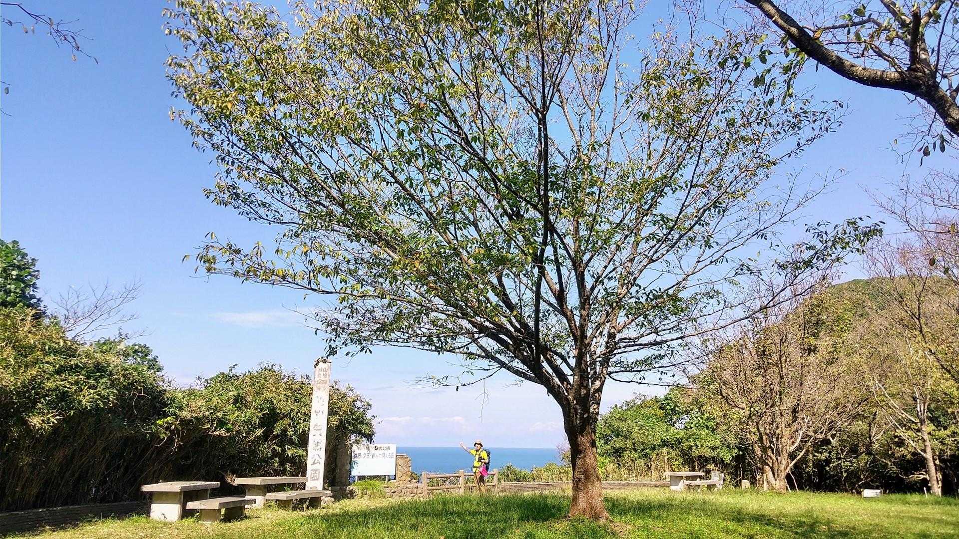 賀嶋公園
真ん中に木が一本🌳
和さんのいるところから素晴らしい眺望が
