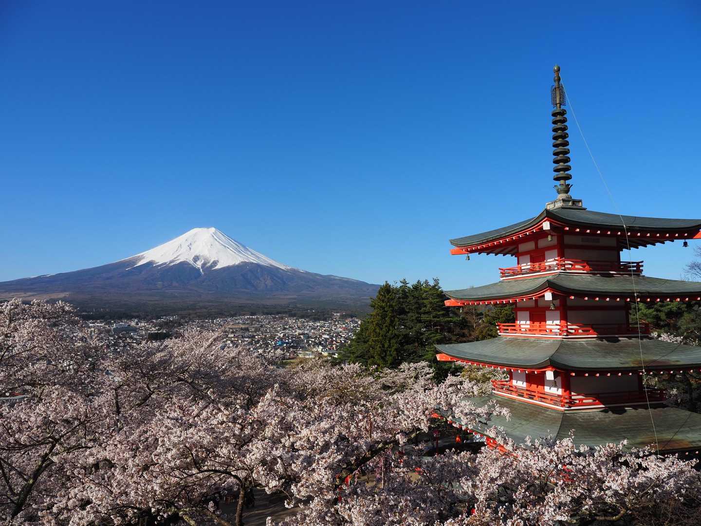 下吉田駅-新倉富⼠浅間神社-新倉山-霜山-天上山-富士見台 縦走コースの写真