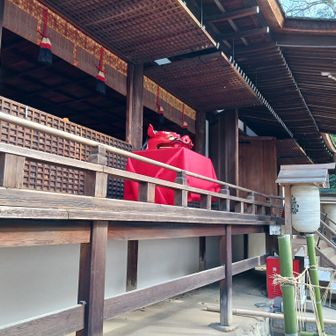 宇治上神社、ぐるっと裏を周ると、赤い獅子舞

お正月は人が多くて😓💦
