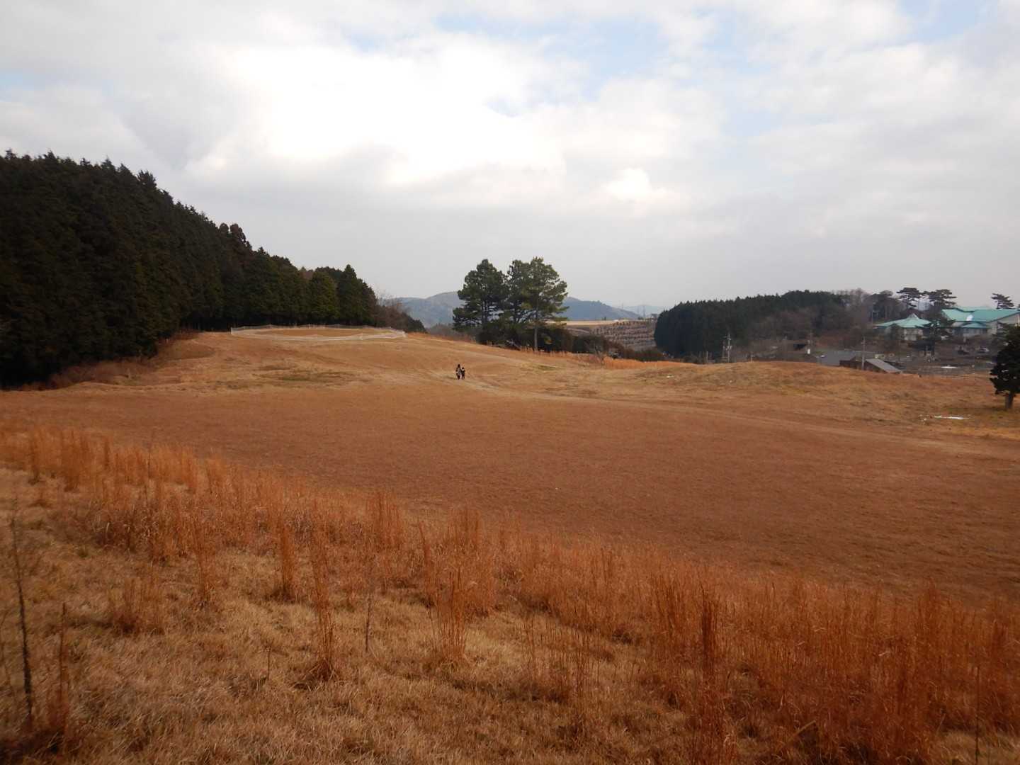 山頂からの景色🎵
って、待ってくれ〜🏃💦
山頂に興味ない二人はフェアウェイのお散歩楽しんどる😭