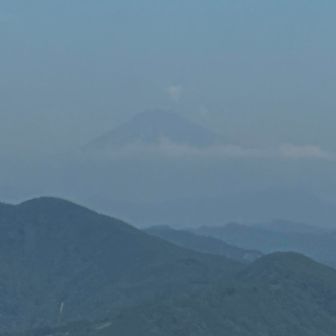 久々の富士山🗻も霞み気味