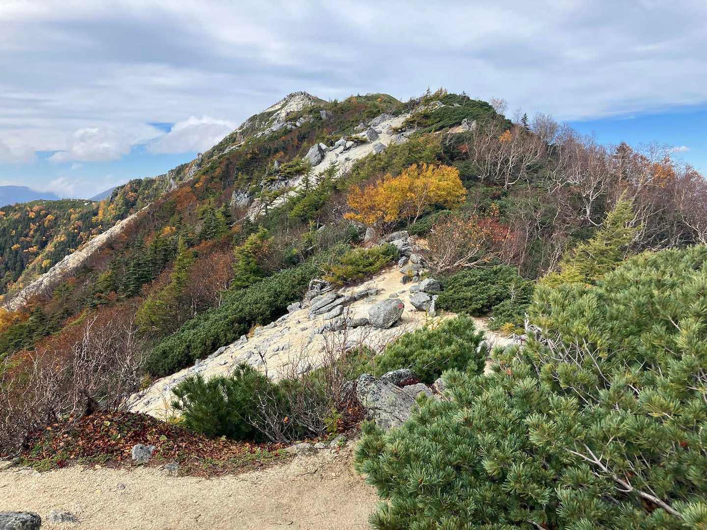 広河原登山口-白鳳峠入口-白鳳峠-高嶺-赤抜沢ノ頭-観音岳 縦走コースの写真