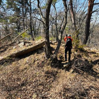 77歳には見えず、とてもお元気。