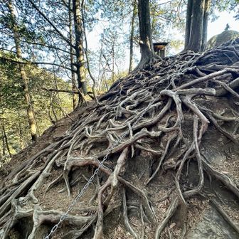 下ってきて傾斜を📸