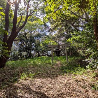 鳥居で山頂