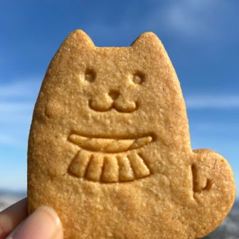 姪っ子がくれたおかげ犬サブレ
想像以上に美味しかった🐶

そして想像以上に視線がいたい