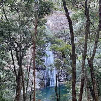 ただやっぱり随所に見える滝は癒しでした