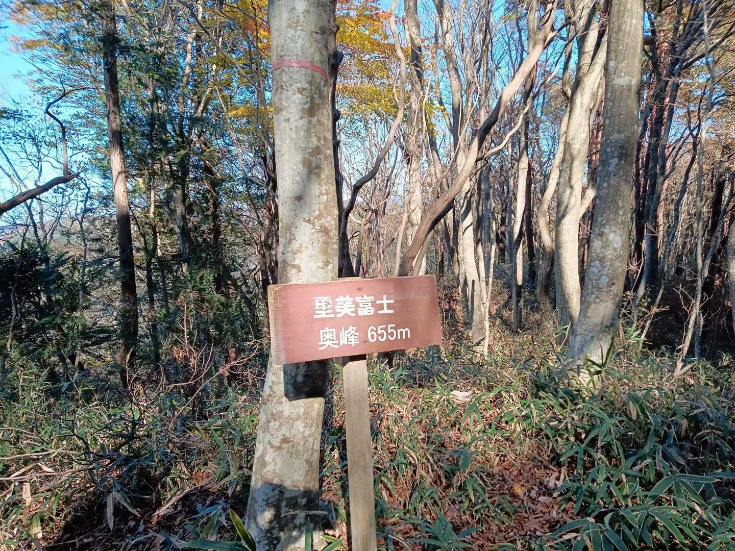 里見富士に到着💦