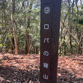 ネーミングがナイス👍
ロバの背って🫏