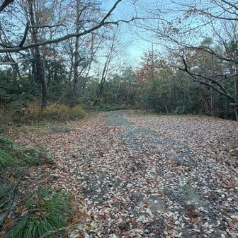 こちらの駐車場に停めれそうだけど、ここまでが幅の狭いコンクリートの道