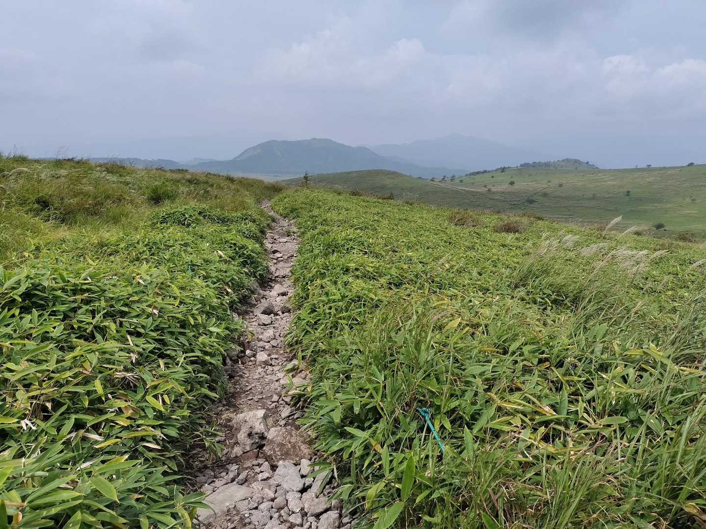 蝶々深山の山頂で休憩＆行動食タイムの後は、八島ヶ原湿原に向かいトレッキング😆✨️