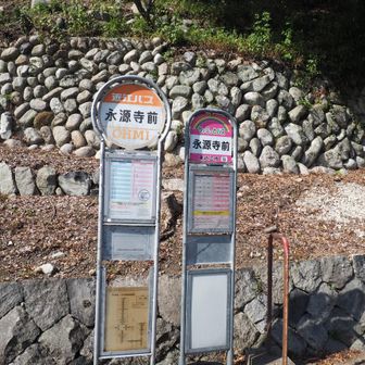 ちょこっとバス停