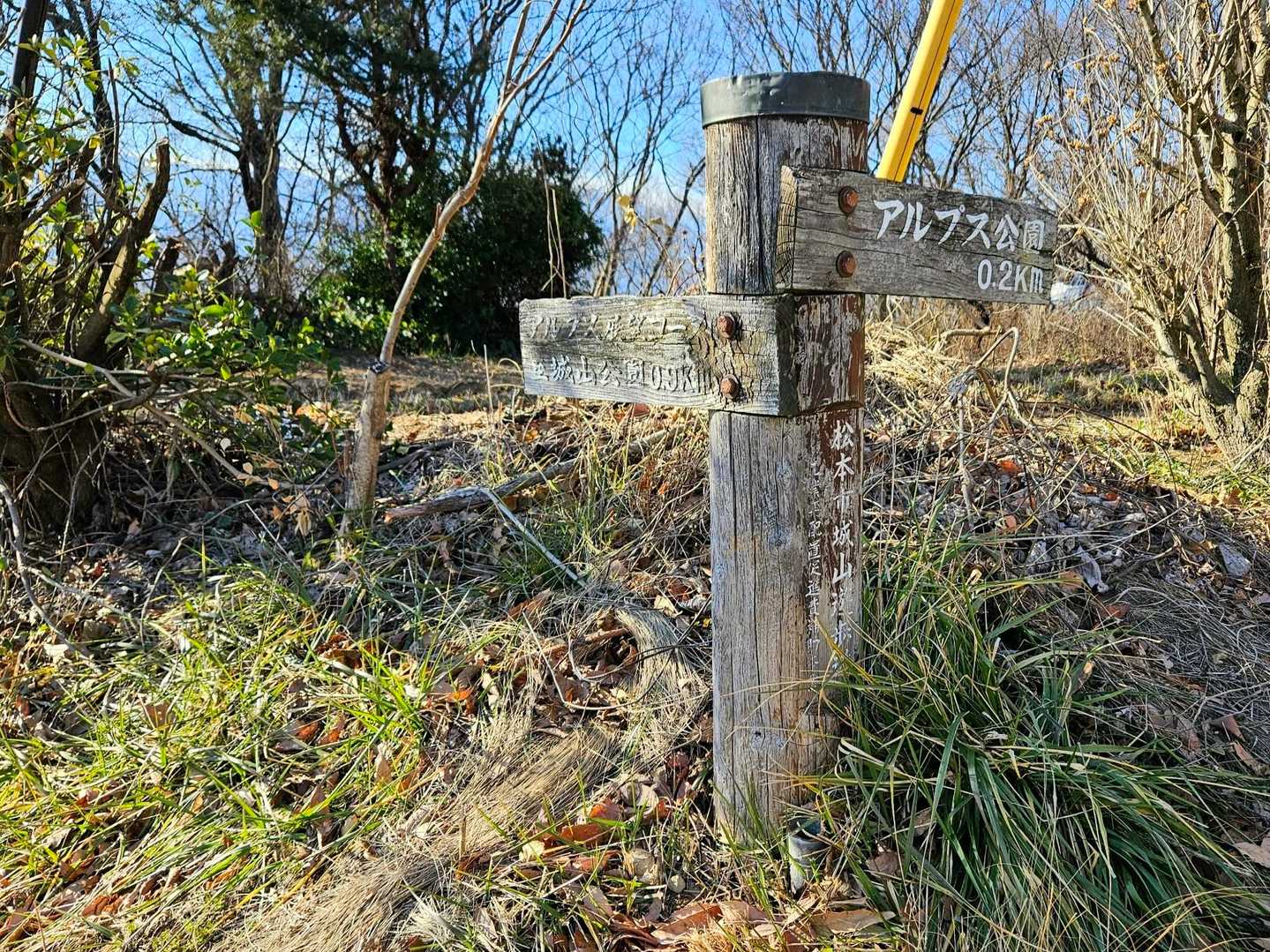 ここからハイキングコース🚶