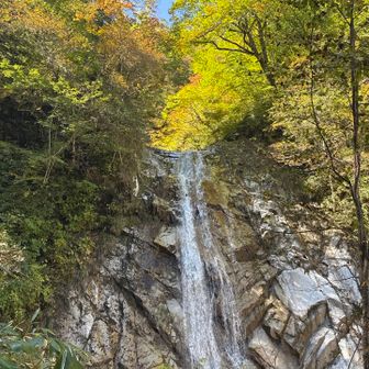 魚止めの滝