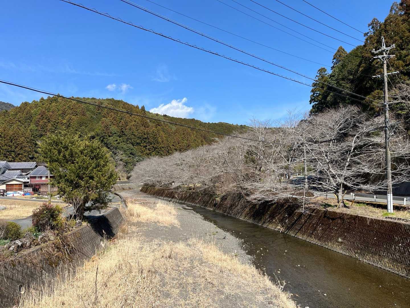 里に到着！
よくよく考えたら桜の時期に来ればよかったな🌸