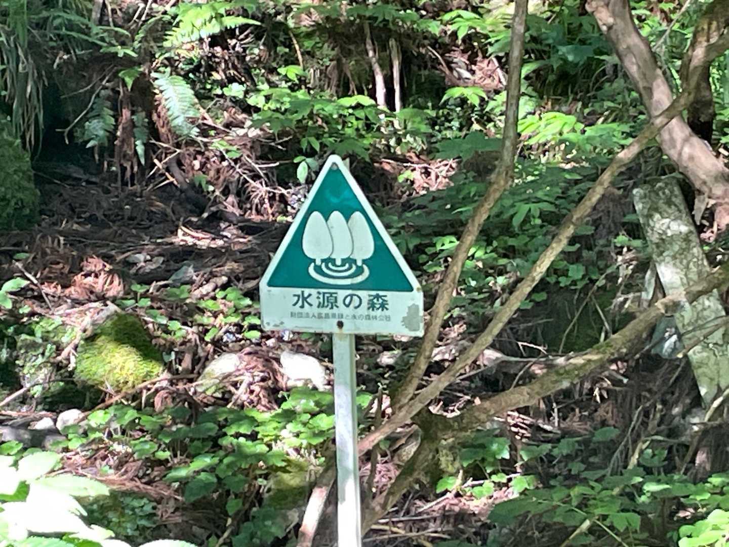 吉和冠山-土滝山-寂地山 往復コースの写真