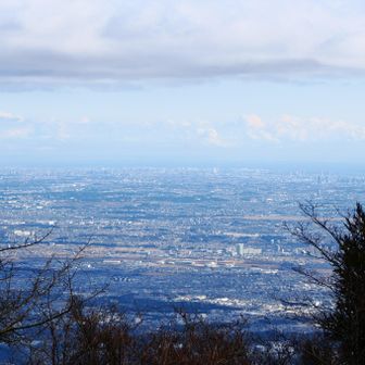 箱根駅伝やってました。
