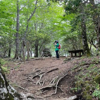 畦ヶ丸山頂も誰もいませんでした。
曇っていて富士山も見えず。
もともと眺望はいまいちなのかも？