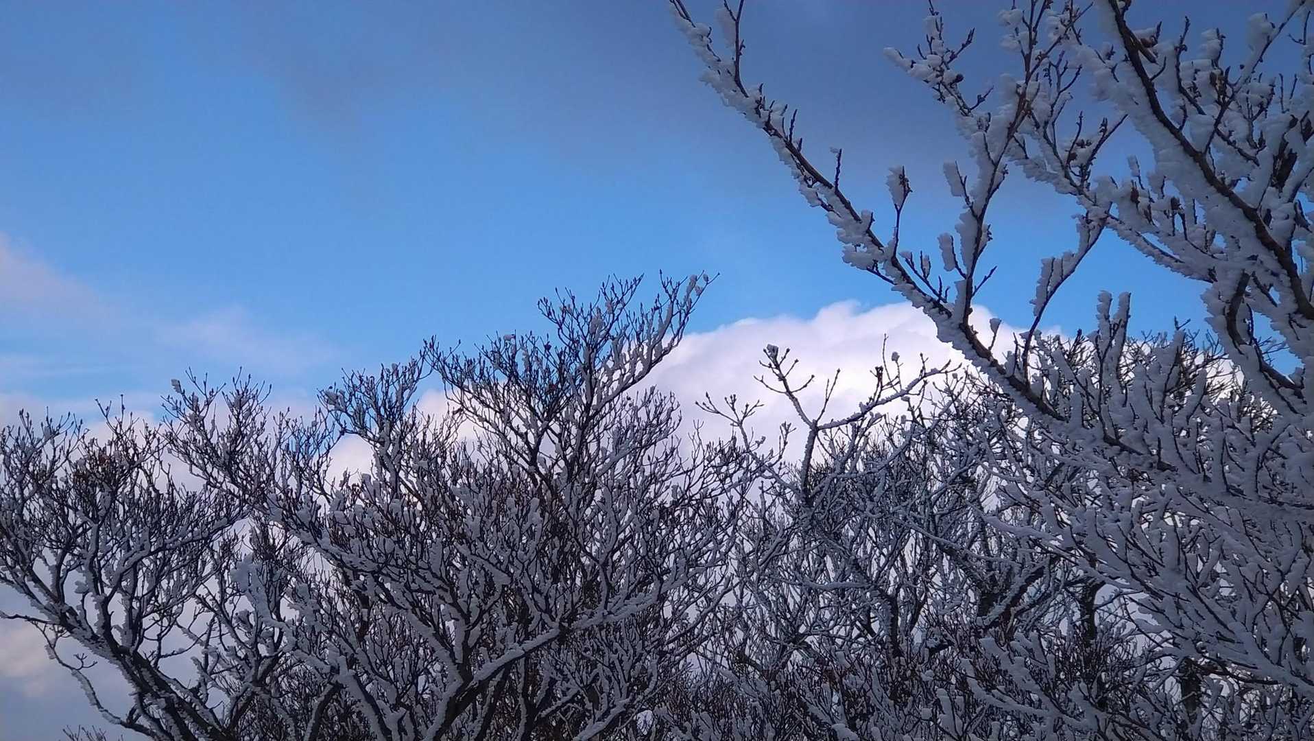 最後に貴重な青空💙
冬も楽しい御在所岳です…🥰