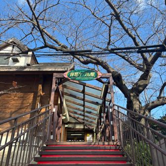 ここに到着するまでの坂がなかなかでした。