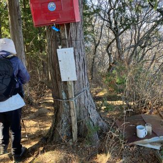 小さな祠があった様子ですが、潰れてました。