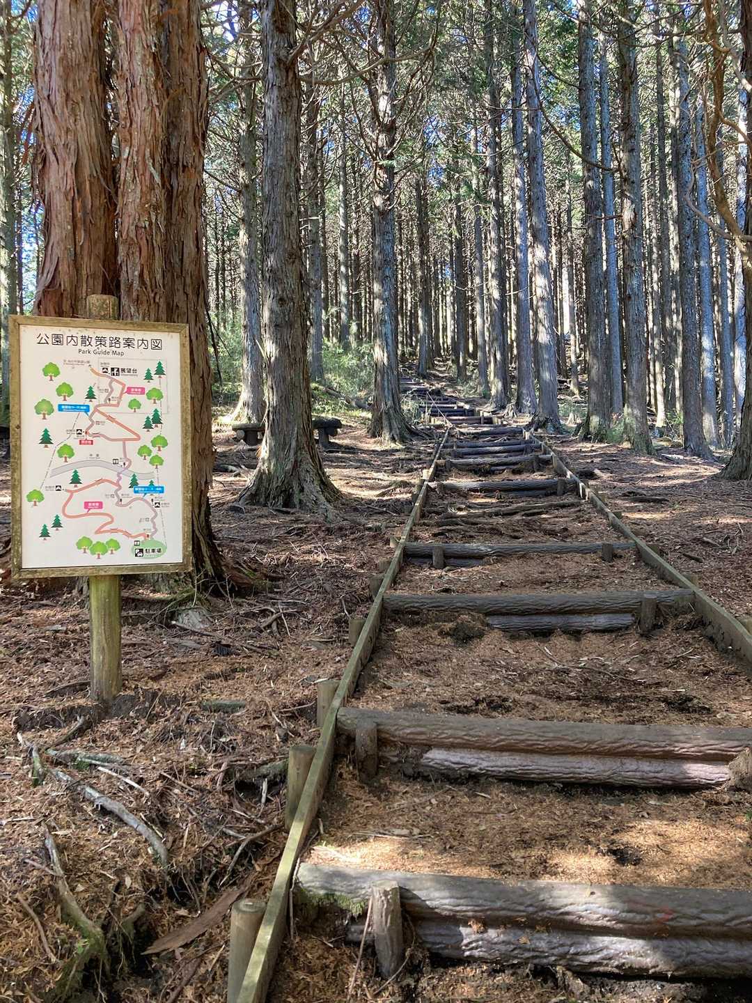 所々に案内看板もあり助かります🪧