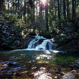 キラキラ✨汚れた心が浄化されました🎵…😎🐾…