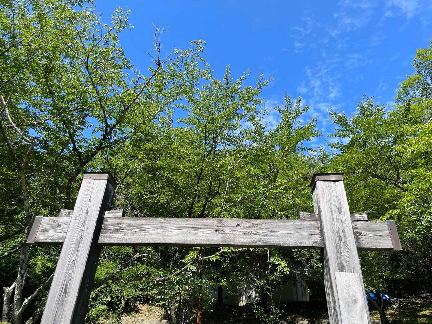 今日もスッキリ☀️