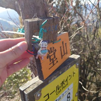 堂山のメイちゃん