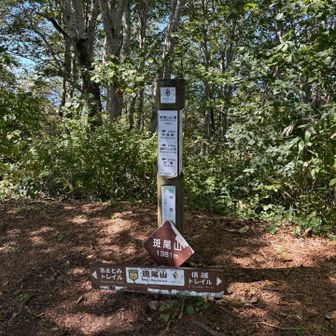 平らな低山の山頂なので眺望無いのは仕方ない😗