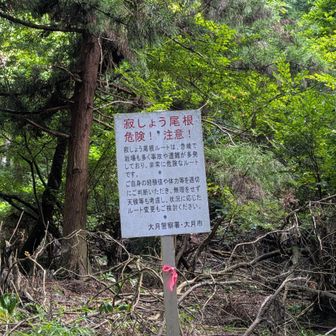 いつかチャレンジします。