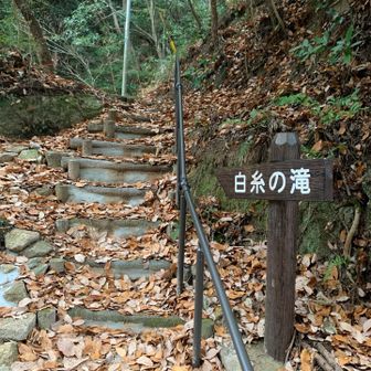 今日は白糸の滝からリハびってきます。