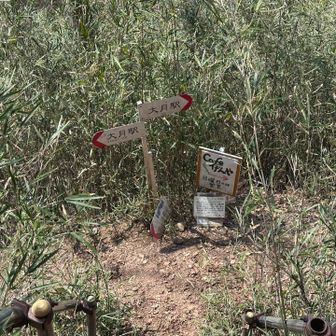 今日営業してそうだけど
パス