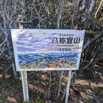 綺麗な絵の看板