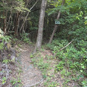 少しわかりづらい登山口