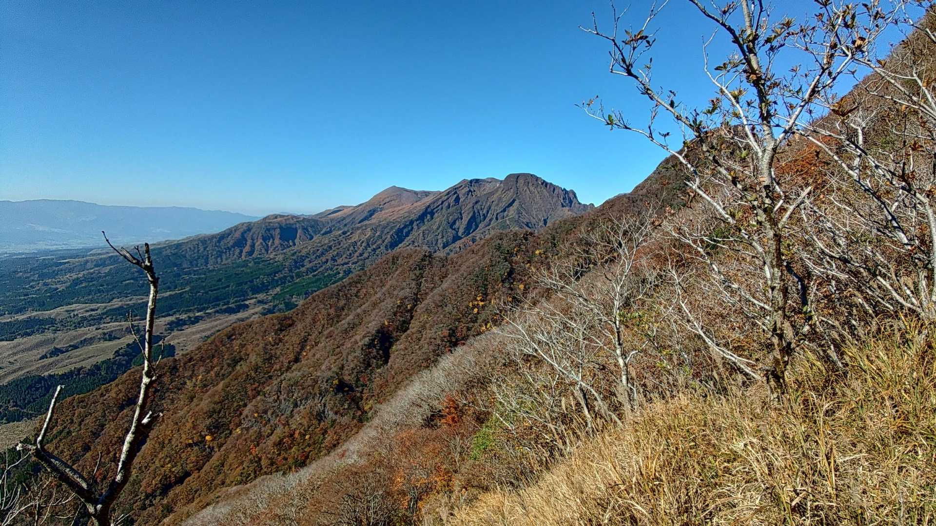 大戸尾根登山口-根子岳 往復コースの写真