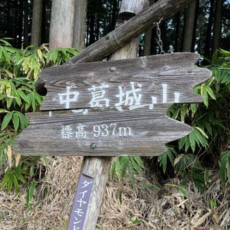 雲行き怪しくなってきた