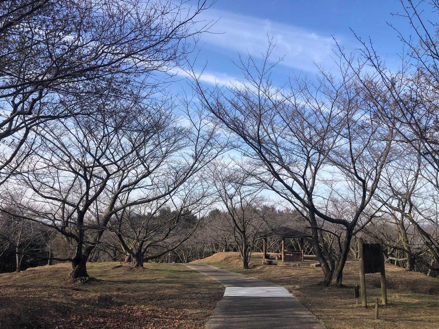 下山して
桜の広場🌸🌸
楽しみですね😊
