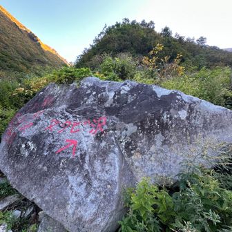 割引沢とヌクビ沢の分岐。
今回はヌクビ沢に向かうが割引沢の方が難易度が高いらしい。