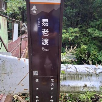 ここから芝沢ゲートまで林道を5km…😅

思い出振り返りながら、次はどこ攻める？と、わちゃわちゃお散歩タイム🤗

あれだけボロボロだったのに、もう次のこと考えてる🤣